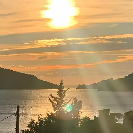 Il Professore, Terre Marine Lerici